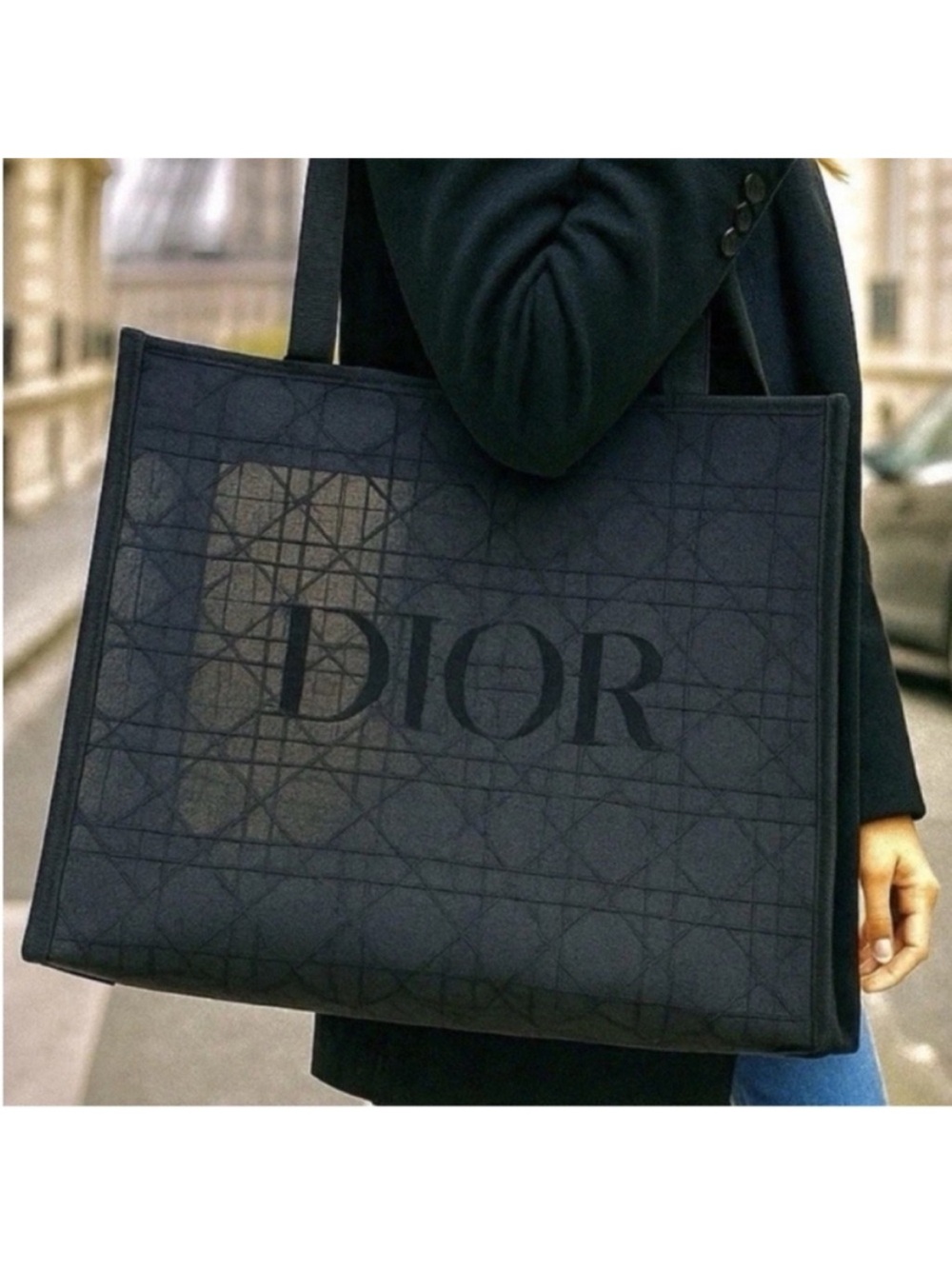 DIOR Black mesh Tote bag purse pattern velvet large cannage shopper LOGO